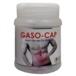 Gaso Capsule (30Caps) - Kumar Ayurvedashrama