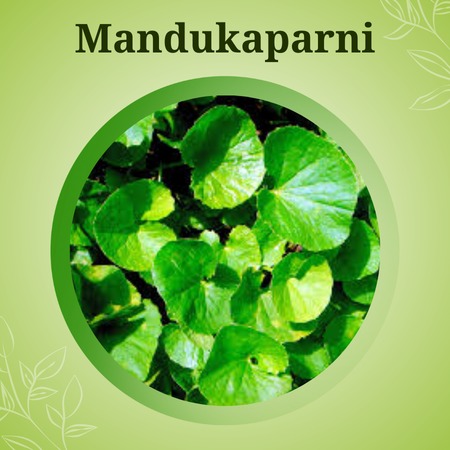 Mandukaparni